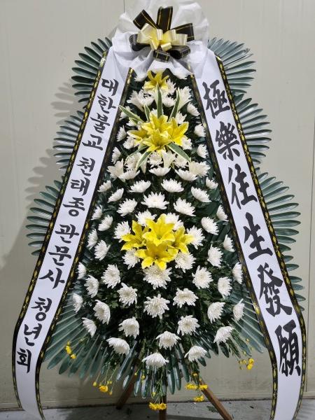 업로드 이미지