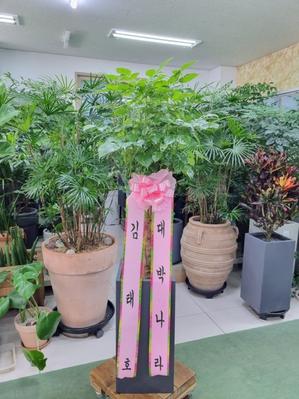 업로드 이미지
