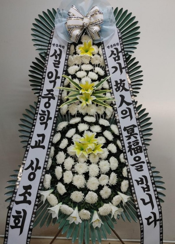 업로드 이미지