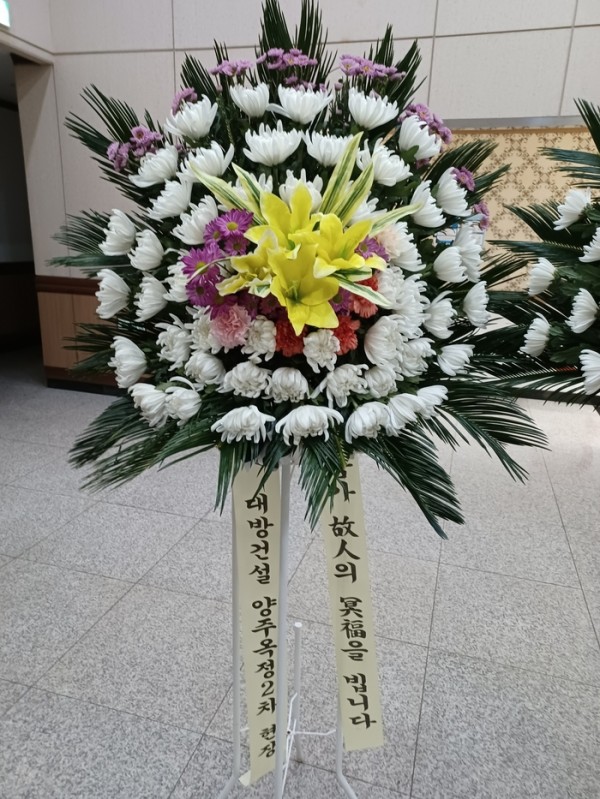 업로드 이미지
