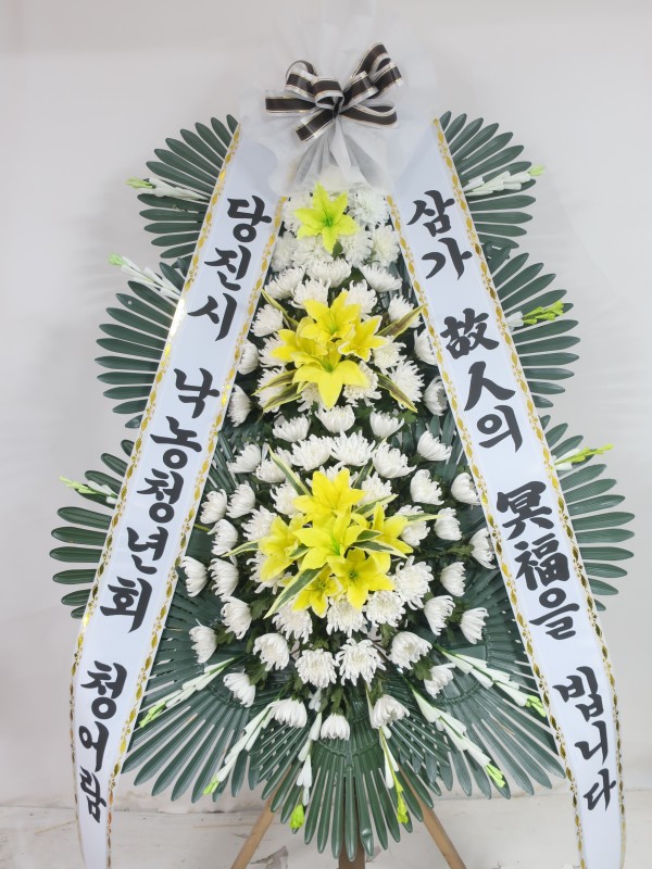 업로드 이미지