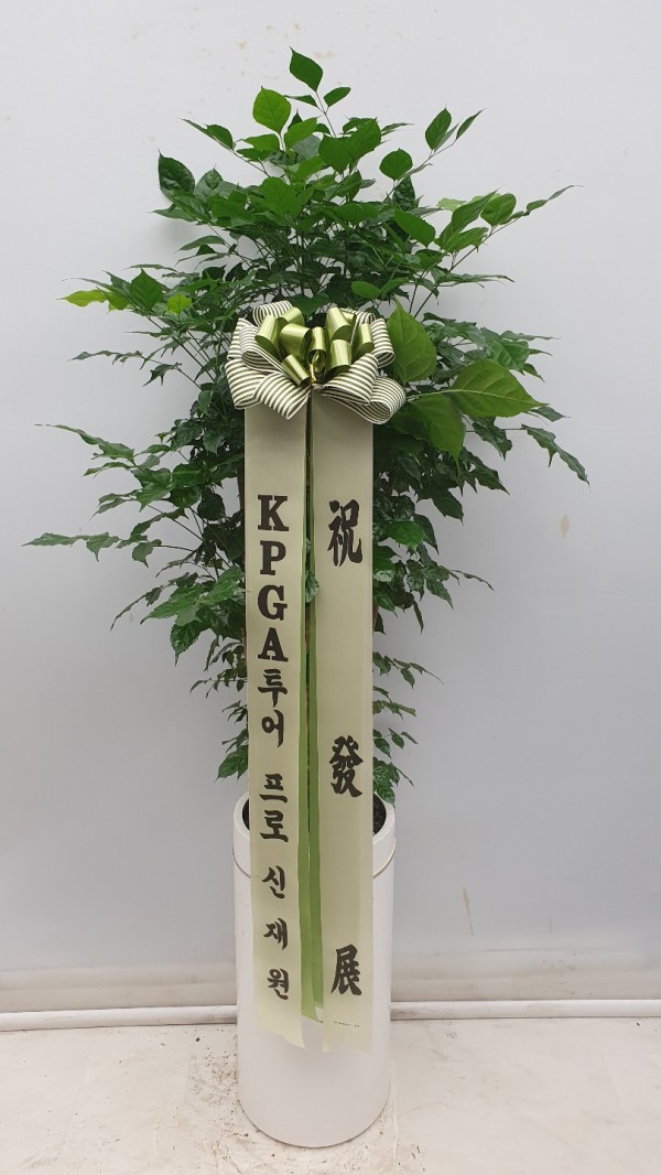 업로드 이미지