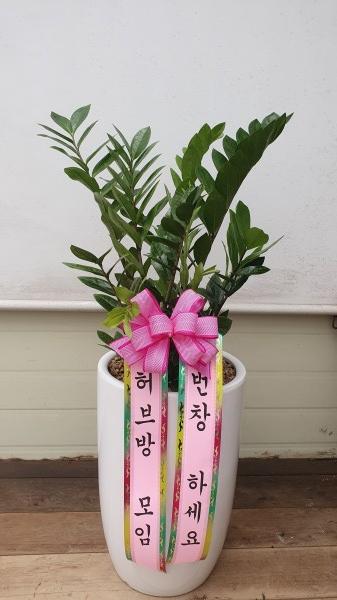 업로드 이미지