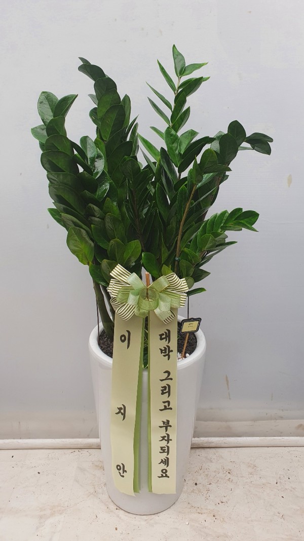 업로드 이미지