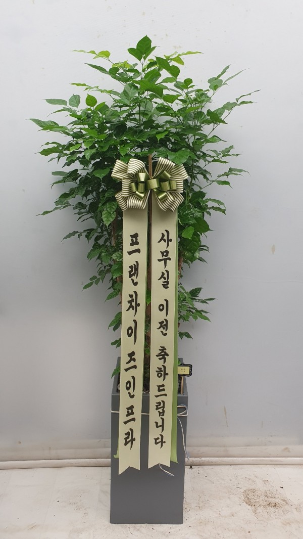 업로드 이미지