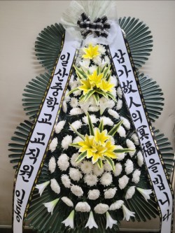 배송사진