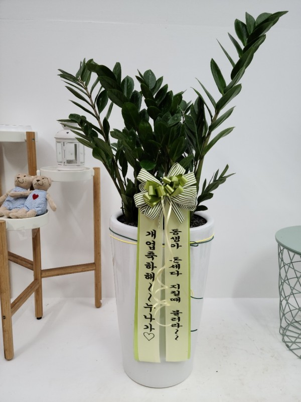 업로드 이미지