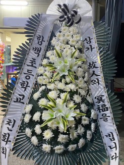 배송사진