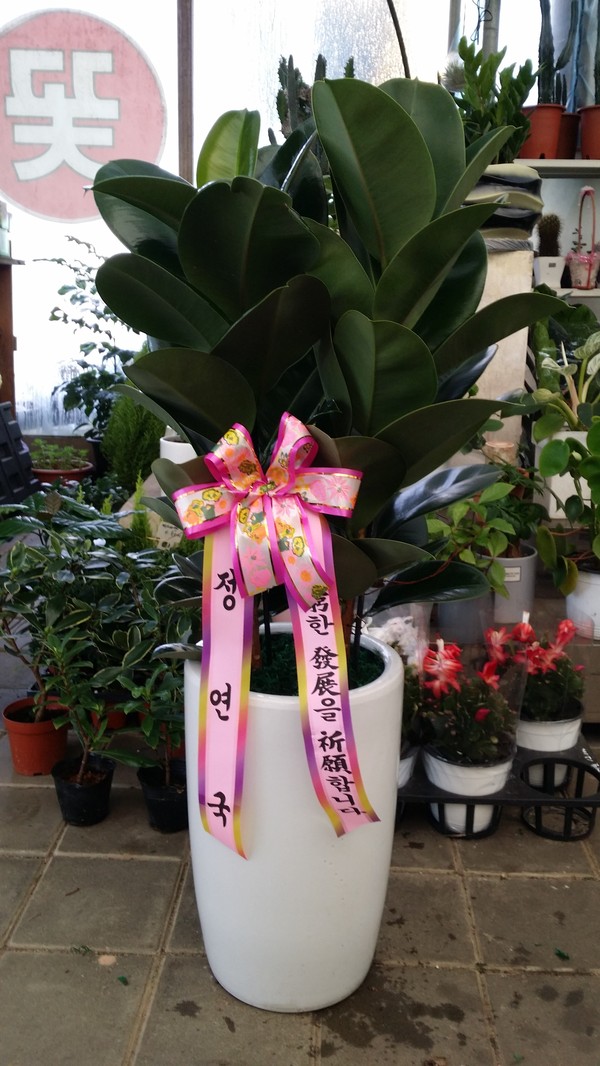 업로드 이미지
