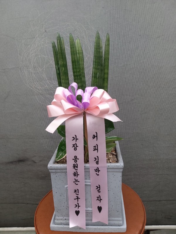 업로드 이미지