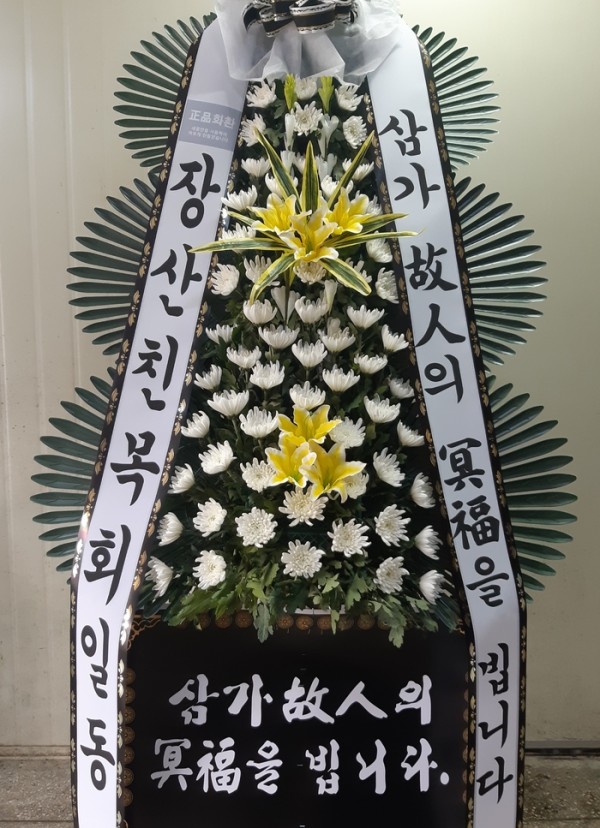 업로드 이미지