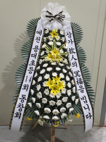 업로드 이미지