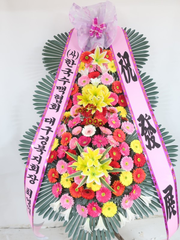 업로드 이미지