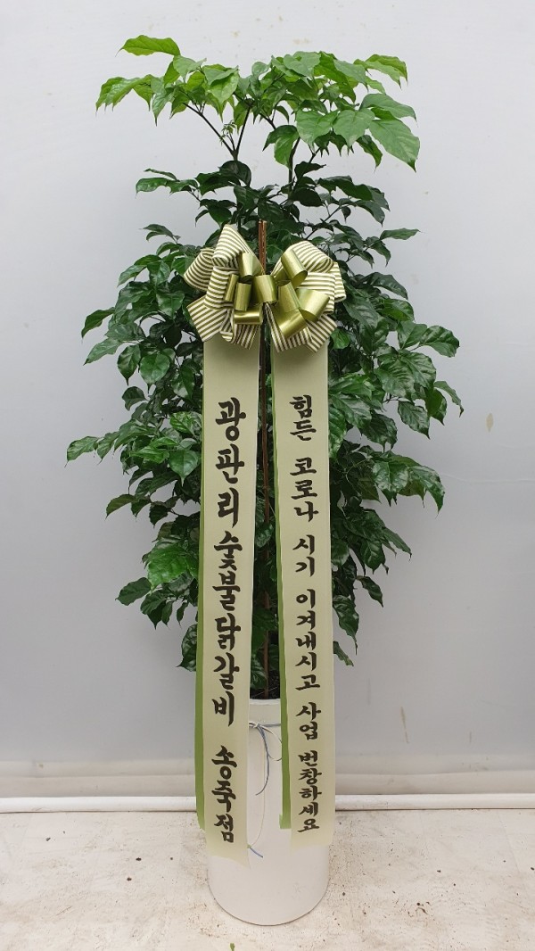 업로드 이미지