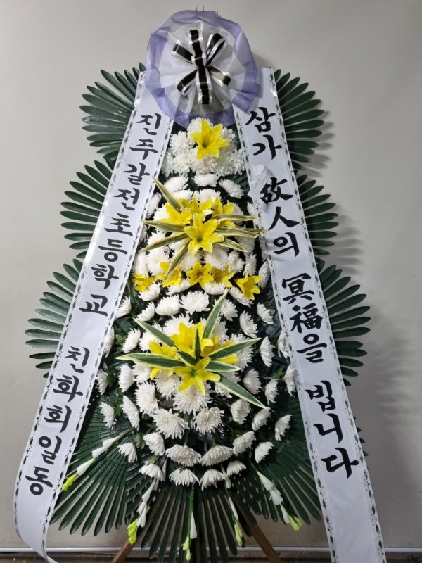 업로드 이미지