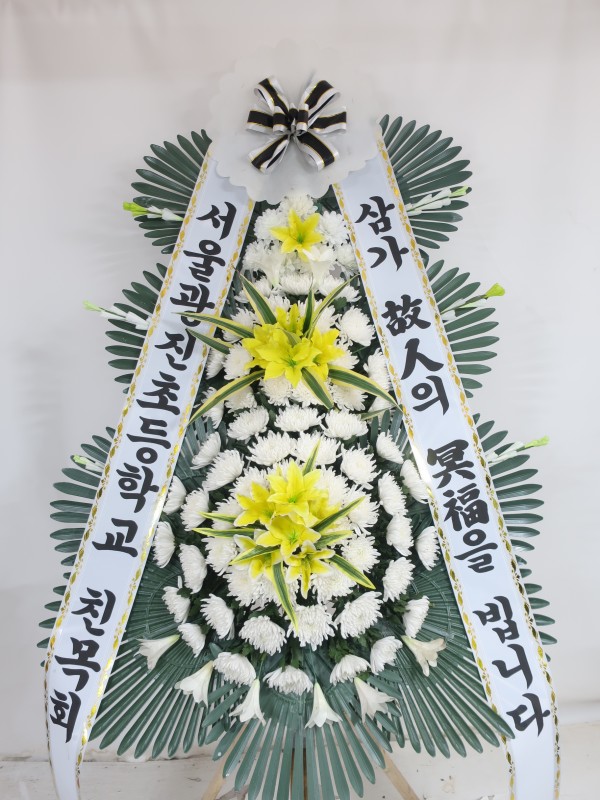 업로드 이미지