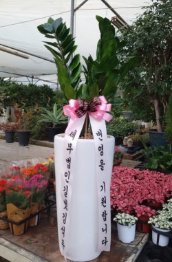 배송사진