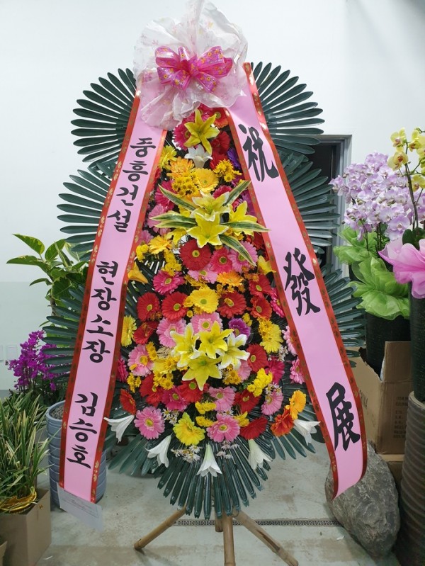 업로드 이미지