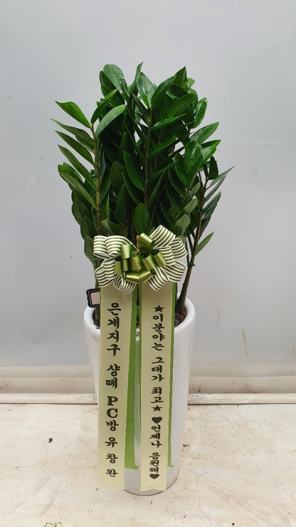 업로드 이미지