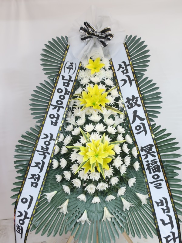 업로드 이미지