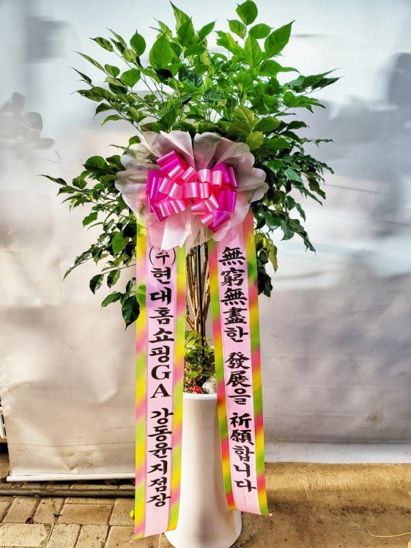 업로드 이미지