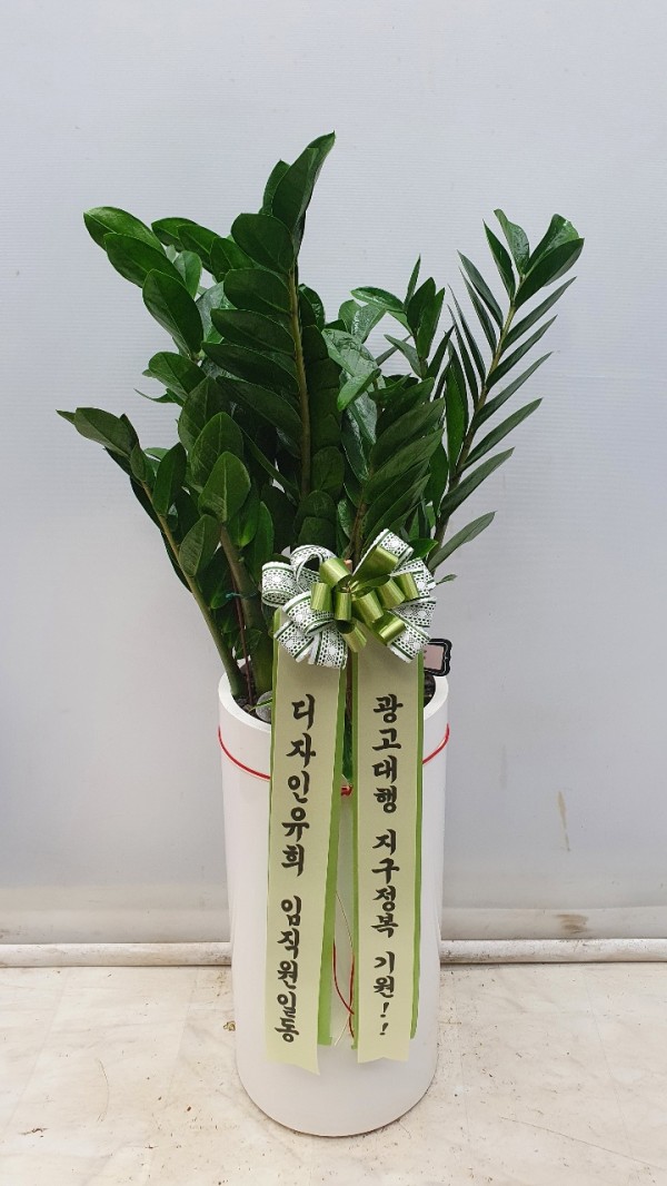 업로드 이미지