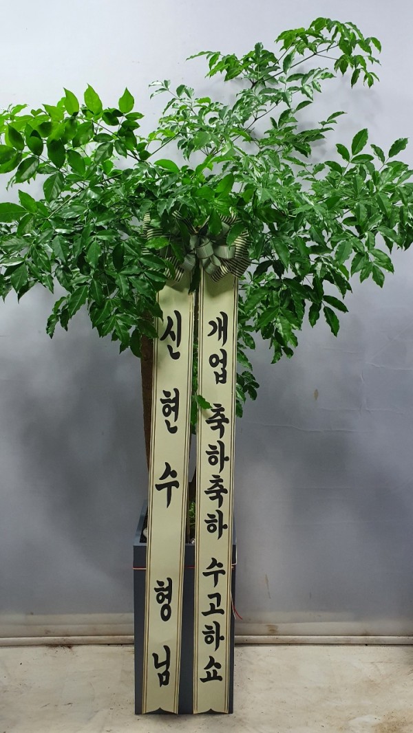 업로드 이미지