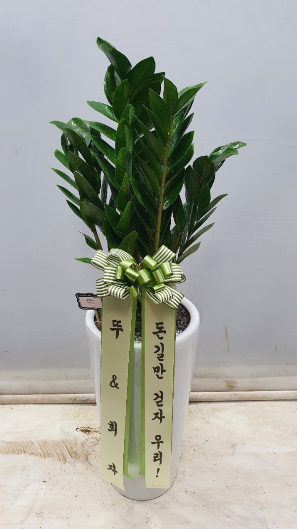 업로드 이미지