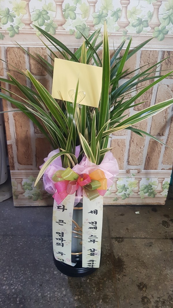 업로드 이미지