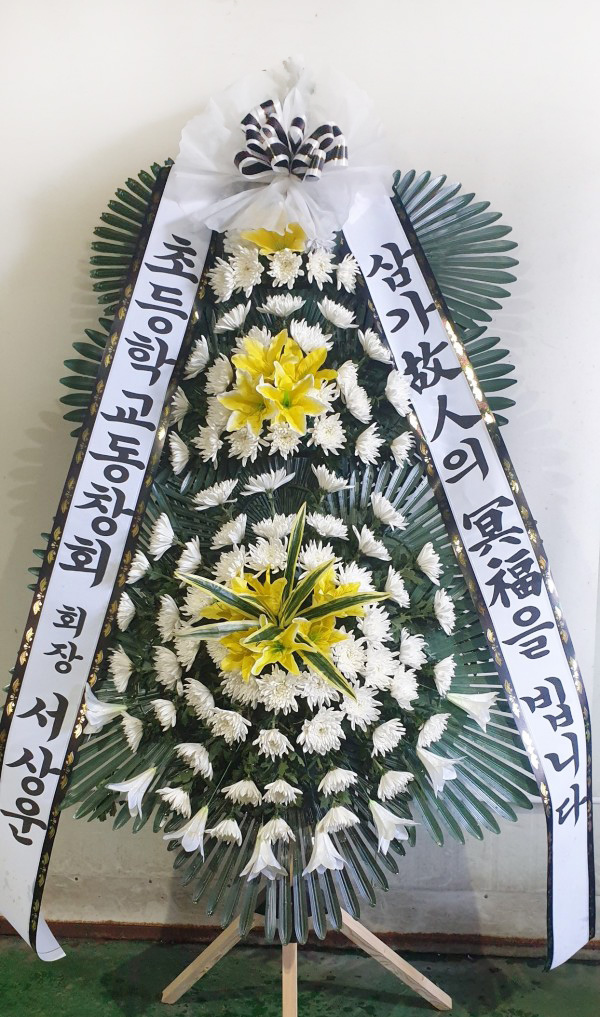 업로드 이미지