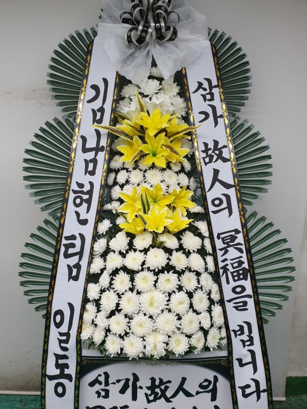업로드 이미지