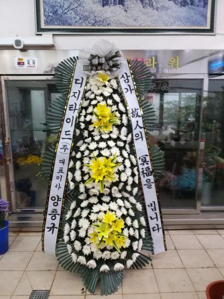 업로드 이미지