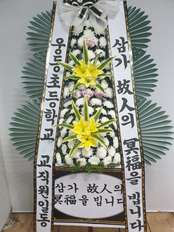 업로드 이미지