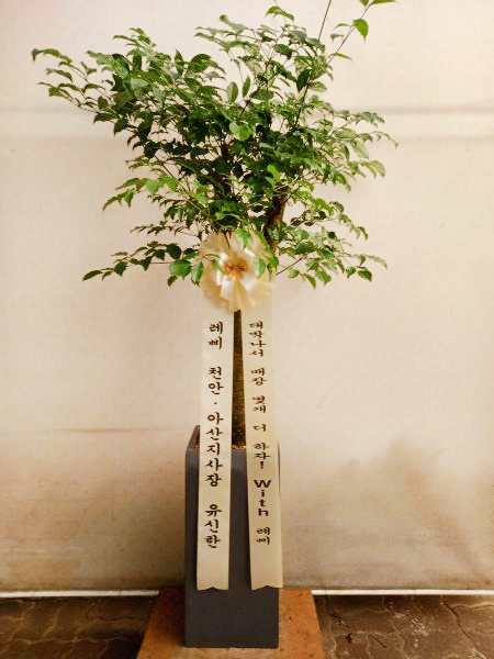 업로드 이미지