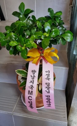 배송사진