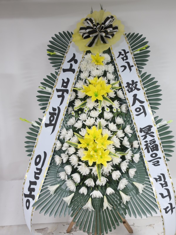 업로드 이미지
