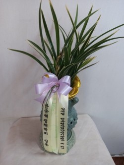배송사진