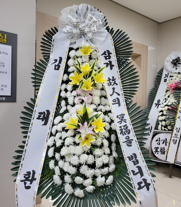 업로드 이미지