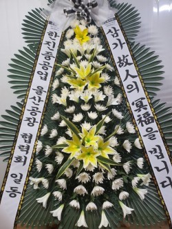 배송사진