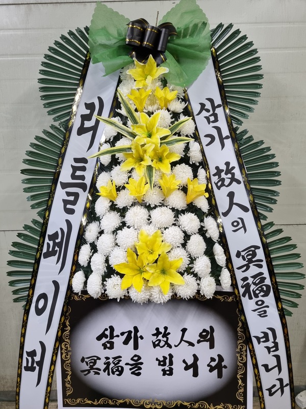 업로드 이미지