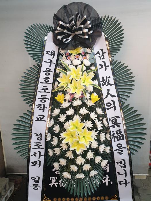 업로드 이미지