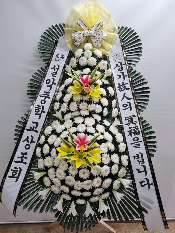 업로드 이미지