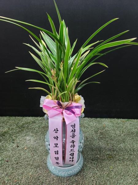 업로드 이미지