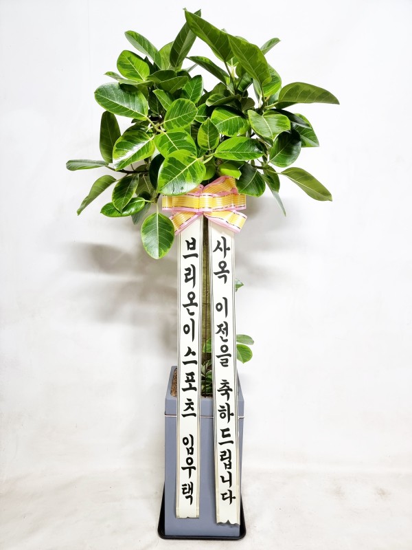 업로드 이미지