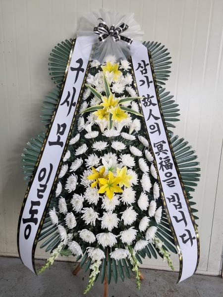 업로드 이미지