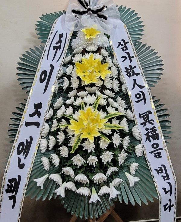 업로드 이미지