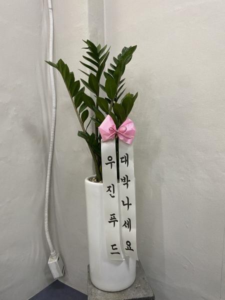 업로드 이미지