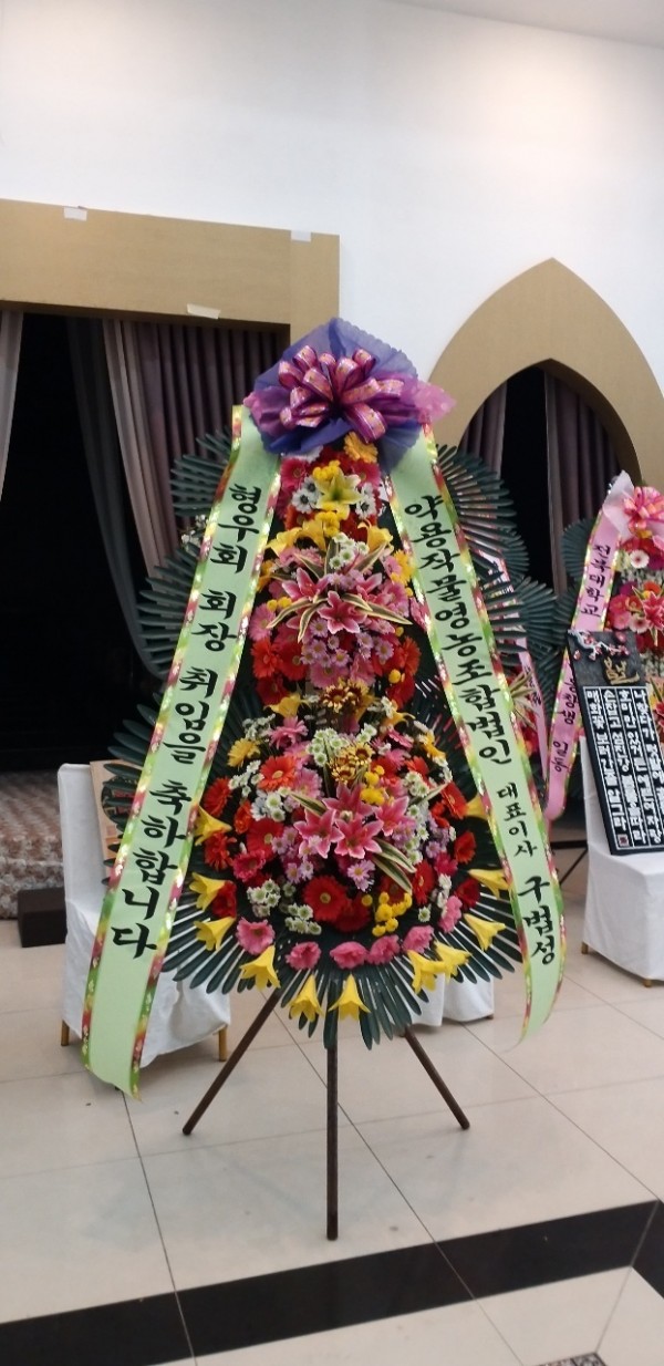 업로드 이미지