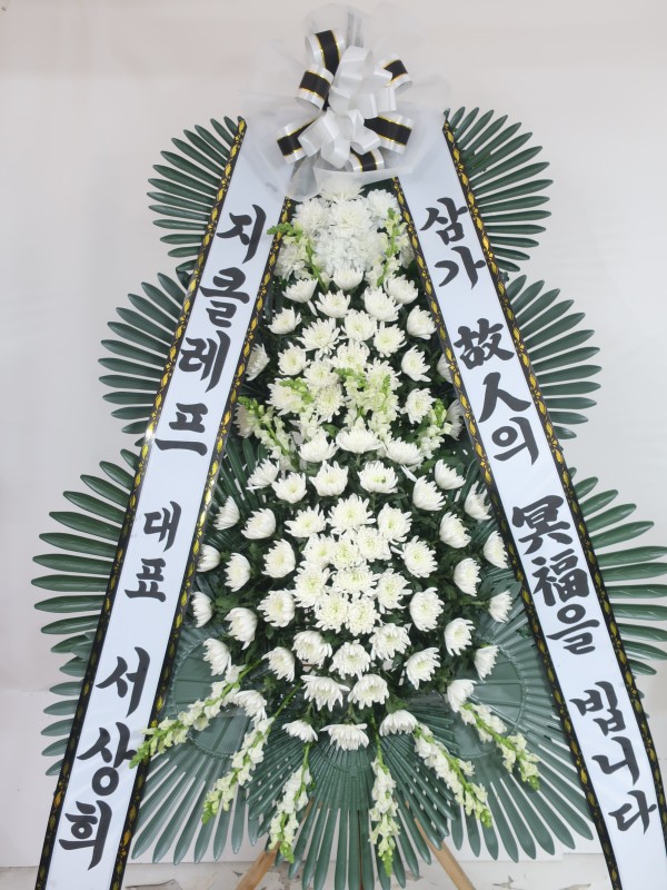 업로드 이미지
