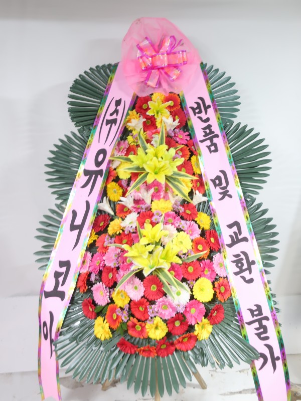 업로드 이미지